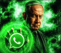 Whatsapp GIF