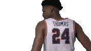 Basketball College Sticker by Carson-Newman Athletics