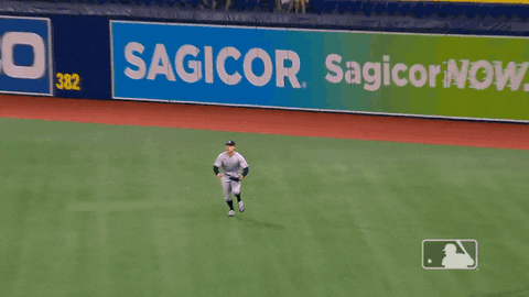 New York Sport GIF by MLB