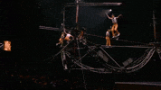 Jump Balance GIF by Ringling Bros. and Barnum & Bailey