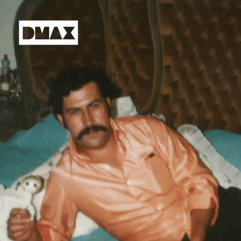 sexy pablo escobar GIF by DMAX