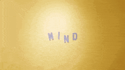 kacey musgraves lyric video GIF