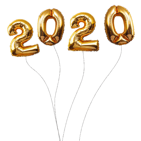 guptanya giphyupload 2020 new year happy new year Sticker