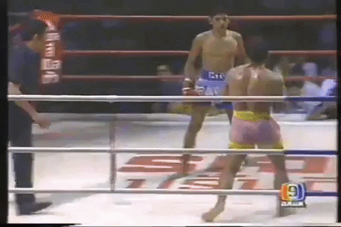 Alteroc giphygifmaker kongtoranee GIF