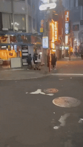 yj_jane giphyupload GIF