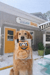 Winter Chips GIF by The Eccentric Bagel