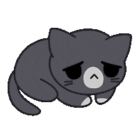 sad cat Sticker by HyperBeard