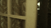 netflix jokes GIF by Lilyhammer
