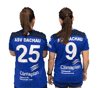 Sport Handball Sticker by asvdachauhandball