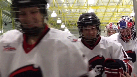 hockey fist GIF by Robert Morris University Athletics