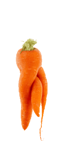 Trevozah honey bees harvest devon Sticker