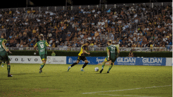 Usl Championship Soccer GIF by Charleston Battery