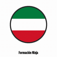 Flag Bandera GIF by Formación Ninja