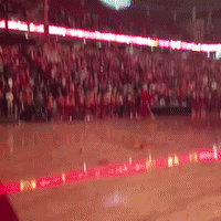 Hiltonmadness GIF by Iowa State