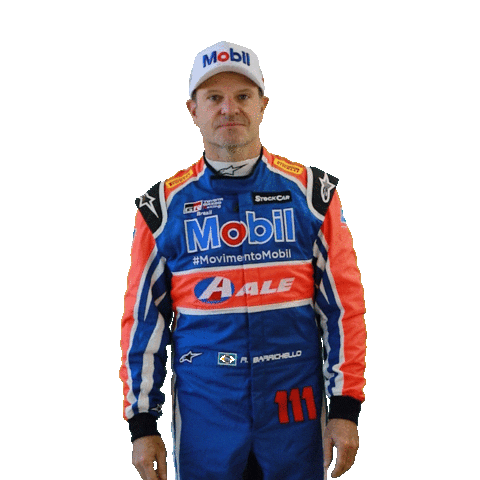 Rubens Barrichello Sticker by Stock Car Brasil