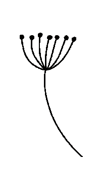 Flower Sticker by Daniela Nachtigall