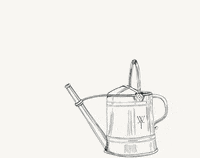 GIF by Weston Table
