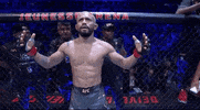 Sport GIF by UFC