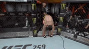 Sport Mma GIF by UFC