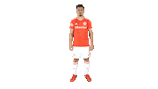Vamointer Diadeinter Sticker by Sport Club Internacional