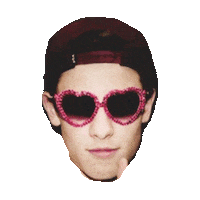 shawn mendes STICKER by imoji