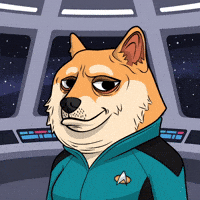 Star Trek Space GIF by Doge Pound