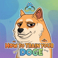 Shiba Inu Dog GIF by Doge Pound