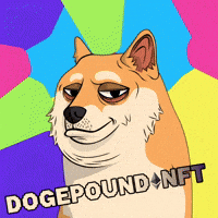 Digital Art Crypto GIF by Doge Pound