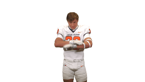 Cnfb Sticker by Carson-Newman Athletics