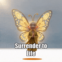 Flow Purpose GIF by BuddhaFlyJourney