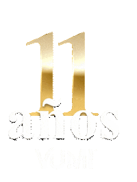 Aniversario 11 Anos Sticker by VUMI Group