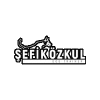 Sticker by Sefik Ozkul