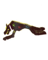 Animation Dog GIF by Dermot Lynskey