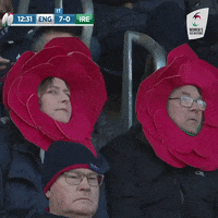Womens6Nations fan fans womens six nations GIF