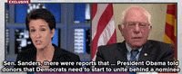 hillary clinton news GIF