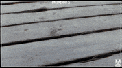 Stephen King Eww GIF by Arrow Video