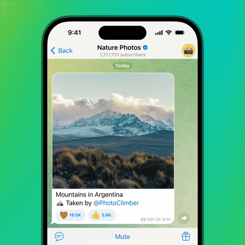 spongebob48 giphyupload GIF