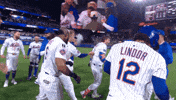 Walk-Off Baseball GIF by New York Mets