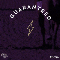 breeders cup GIF by CTPBoston