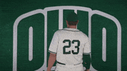 Baseball College GIF by Ohio Bobcats