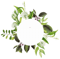 Gurktaler aperitif gurktaler rettl gurktaleralpenkraeuter Sticker