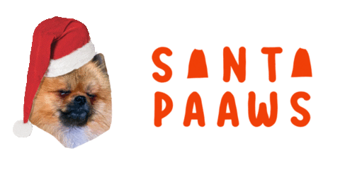 Burlybearpom giphyupload christmas xmas christmas present Sticker