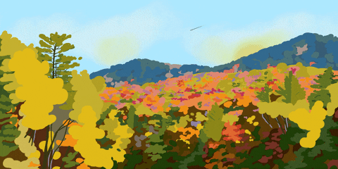 Fall Fallfoliage GIF by Dartmouth College