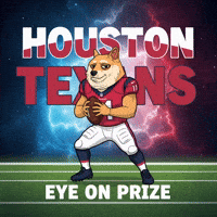 Shiba Inu Football GIF by Doge Pound