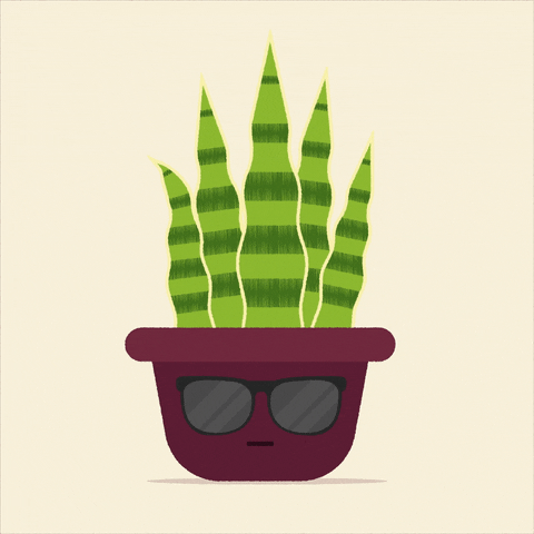 BandiOnline giphyupload animation plants leaves GIF