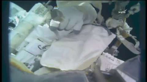 space astronaut GIF by NASA