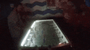 topshelf records prawn GIF
