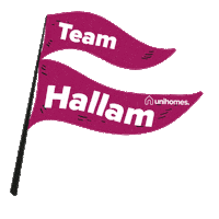 Ice Hockey Sheffield Sticker by UniHomes