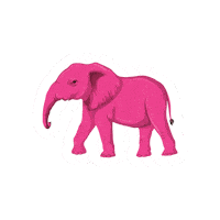 Sticker by Sau Medical