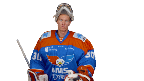 unisflyers giphyupload hockey save eagles Sticker